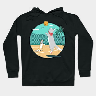 Volleyball Cats Hoodie